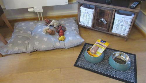 Ferienwohnung-Schoenmuenzblick-Urlaub-im-Nationalpark-Schwarzwald-Schwarzwald-Plus-inklusive - Foto 5