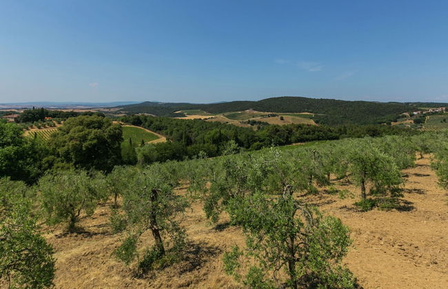 Belvilla by OYO Villa Sangiovese - Foto 20