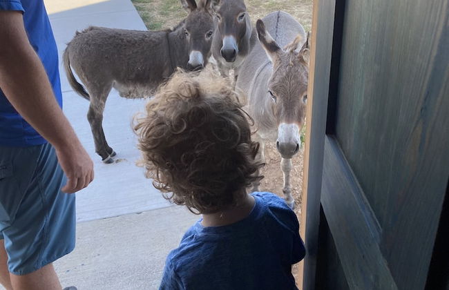 Blue Hills Ranch - Foto 22