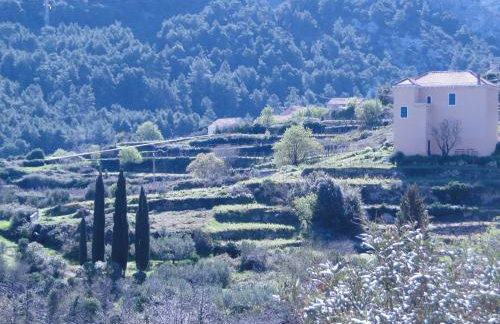 Heritage Apartments Kyra & Fox in Pitve, Hvar - Photo 13