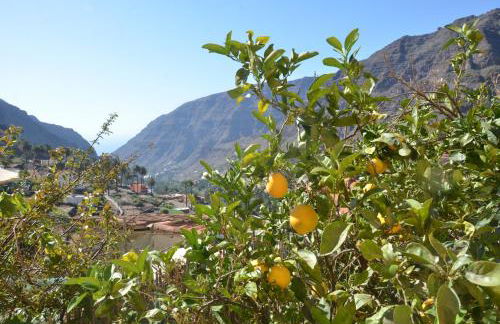 Casa La Erita - Foto 10