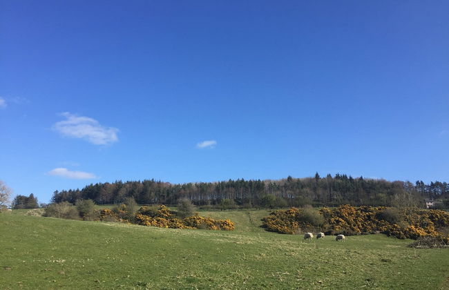 Jura @ Westcote Glamping - Foto 14