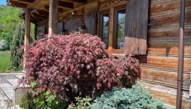 Domek u Janiego - Foto 5