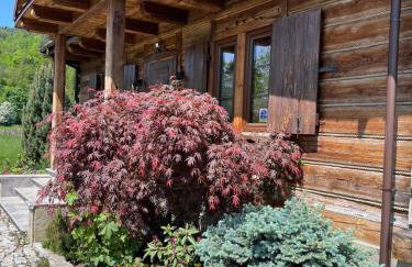 Domek u Janiego - Foto 5