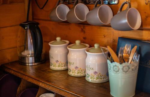 Blossom Cabin - Little log Cabin in Wales - Foto 20