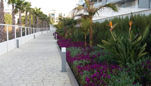 Apartamento en primera línea de playa, con piscina y garaje en Torrox Costa - Photo 4, Garden view