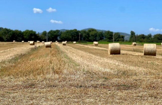Apartment in Umbria Near Lake Trasimeno - Photo 40