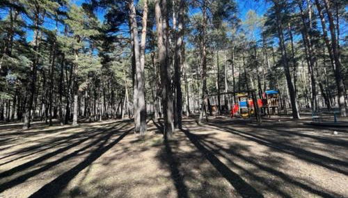 Bolla's House - Photo 4