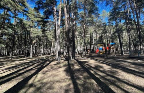 Bolla's House - Photo 4