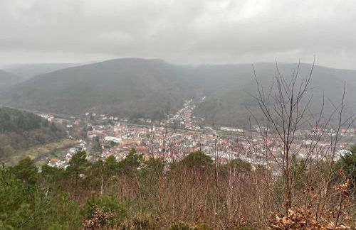 Dicker Stein - Foto 42