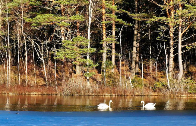 5 Person Holiday Home in Bullaren-by Traum - Foto 21