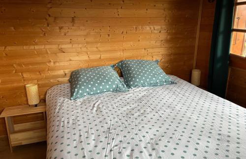 Chalet, vue sur la vallée, Domaine skiable Grand Massif - Foto 19