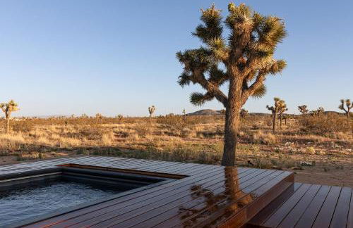 Joshua Tree Modern Cabin- Goat Mountain Rising - Foto 22