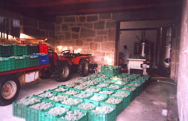 Os Areeiros - Foto 18