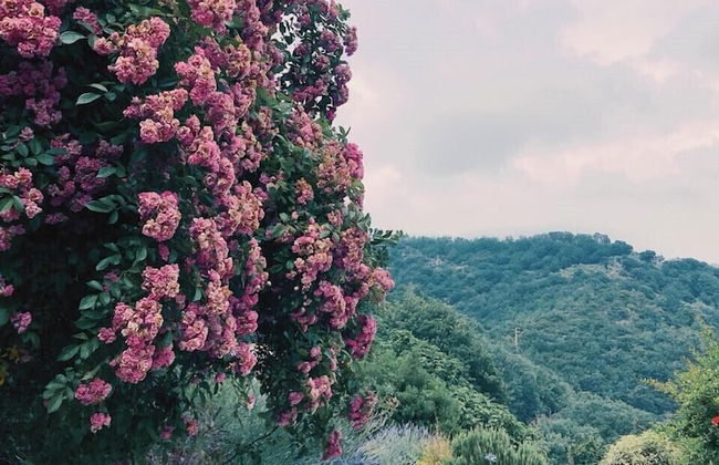 Agriturismo Gocce di Luna - Foto 43