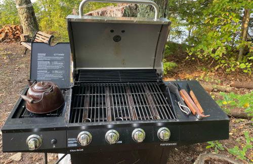 Log Cabin at Naughty Dog Private Island - Foto 41