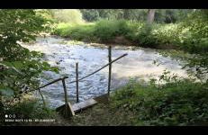 Im Grünen 2 - Foto 2