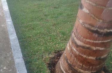 Espaço de Lazer - Casa com Piscina e Churrasqueira - Foto 22