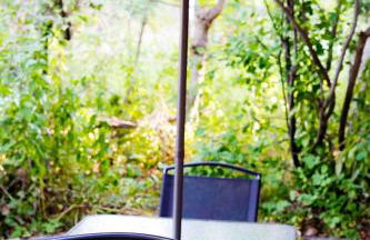 Cozy Cabin Retreat in Midway - Foto 54