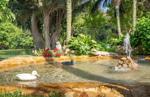 El Amanecer - Foto 26