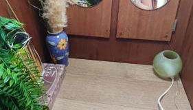 Sailboat land and sea, vegetated - Foto 3