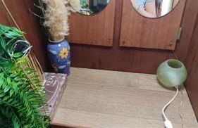 Sailboat land and sea, vegetated - Foto 3