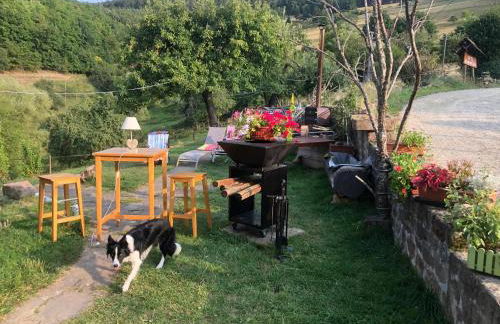 Maison pittoresque à Sainte-Croix-aux-Mines, vue sur la montagne - Foto 9