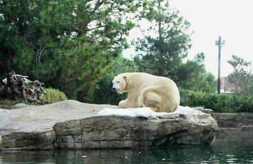 Near All Things SD - Canyonview - Jacuzzi - EV Charge - Foto 77