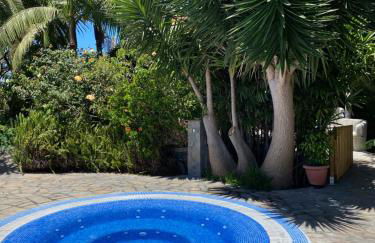 Tijarafe 1 - Foto 10