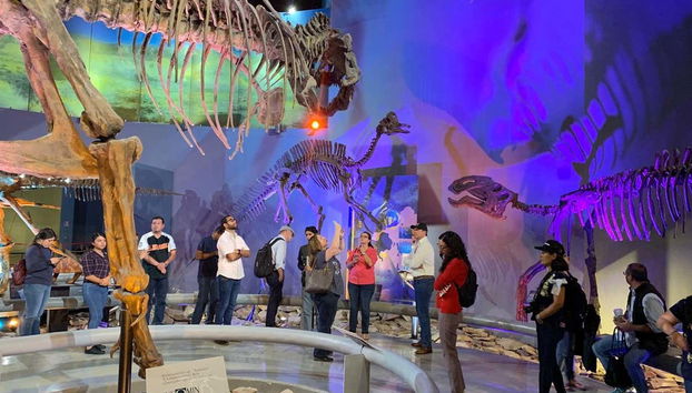 Le musée du Désert abrite une vaste collection de fossiles