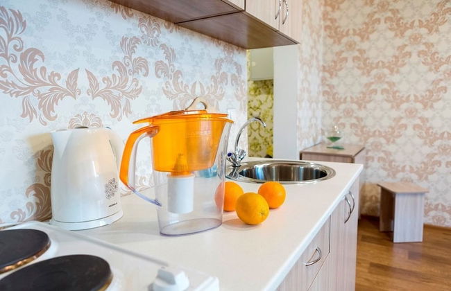 Apartment Economy on Piskunova 148-2 - Photo 6