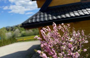 Łykolańczyk-Chatki z JACUZZI - Photo 22