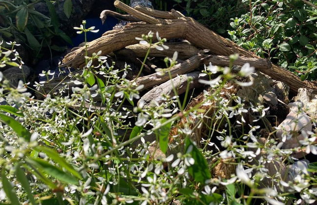 2bed Cabin w/ Parking Near Snowdonia National Park - Photo 20