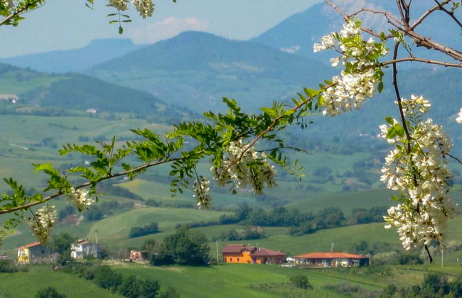 Casale Antica Pietra - Foto 54