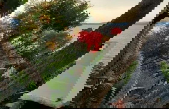 Petra - sea View - A1 - Foto 33