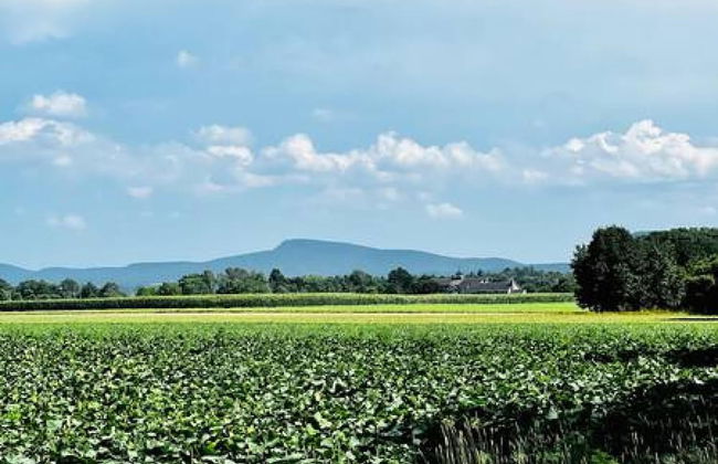 Amherst Country Oasis Perfect Location Umass - Foto 29