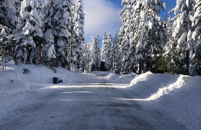 Modern Rustic Retreat - Photo 36