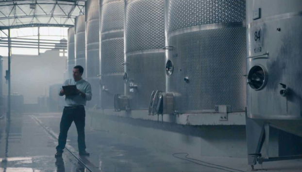 Casas del Bosque Winery Tour - Foto 5