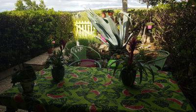 BAMBOU NATURE - Foto 3