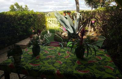 BAMBOU NATURE - Foto 3