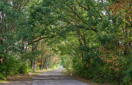 Holiday Home Kranich by Interhome - Foto 27