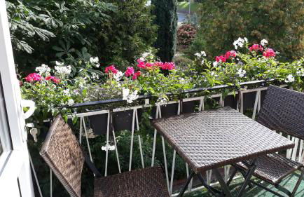 Ferienwohnungen Liedtke - Foto 29