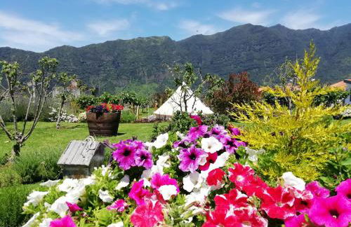 Granny's farm - Foto 61