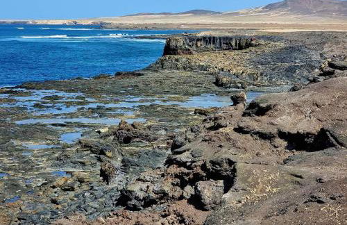 Oasis Tamarindo 1 - Casa Rosa - Appartement 2 chambres climatisées - Photo 50