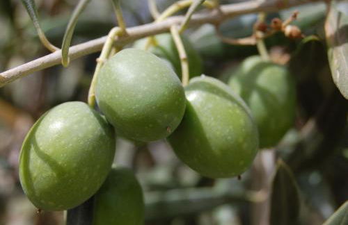 Château Luxury Stay Montbrun - Foto 37