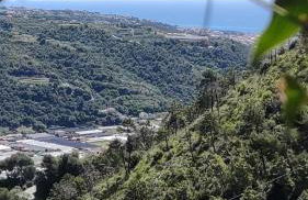 Bungalow Sixdays 3 - Photo 49