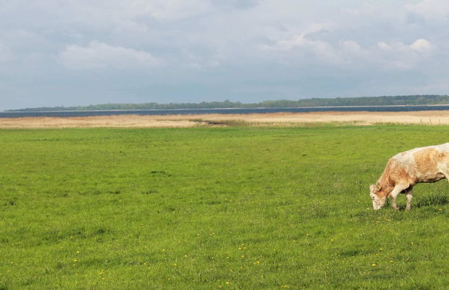 Gorgeous Apartment in Neuburg With Terrace - Foto 63