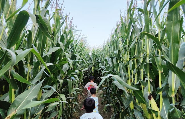 Can Pujol Turisme Rural - Foto 46