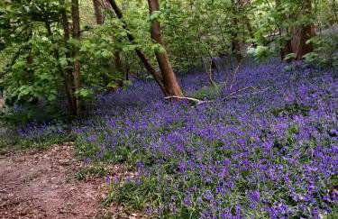 Pyes Granary - Foto 24