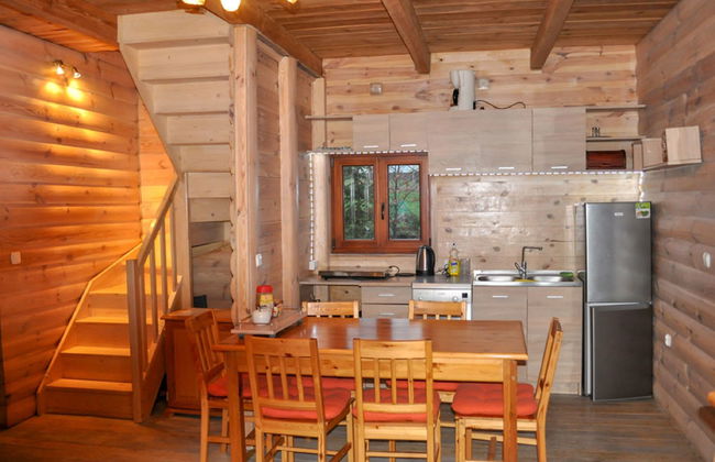 Skarlinówka - Foto 9